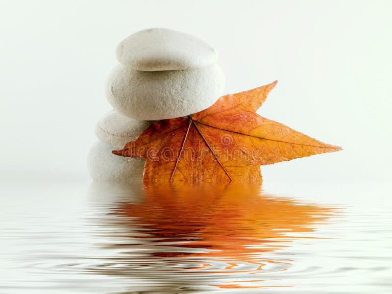 Beach stones with leaf and water reflection