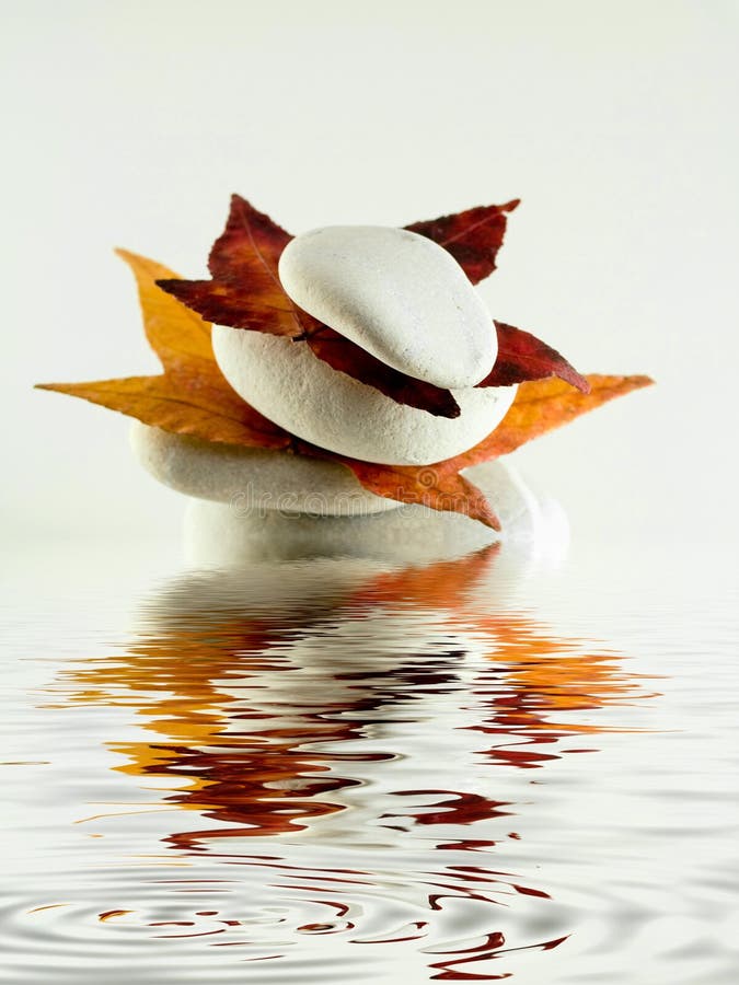 Beach stones with leaves and water