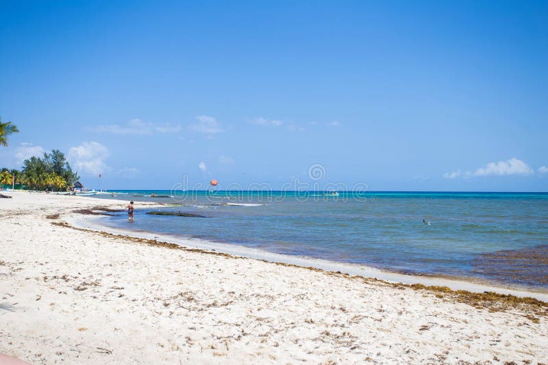 Beach with Stranded Seaweed, Mexico Riviera Maya, March 2017 Stock