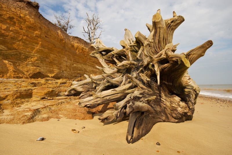 Beach stump