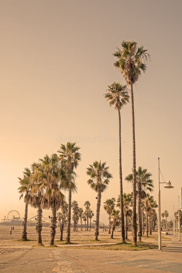Beach Summer - Los Angeles, California
