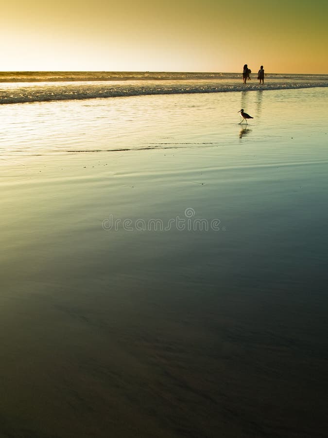 Beach at sunset