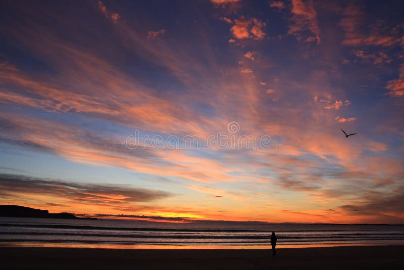 Beach Sunset