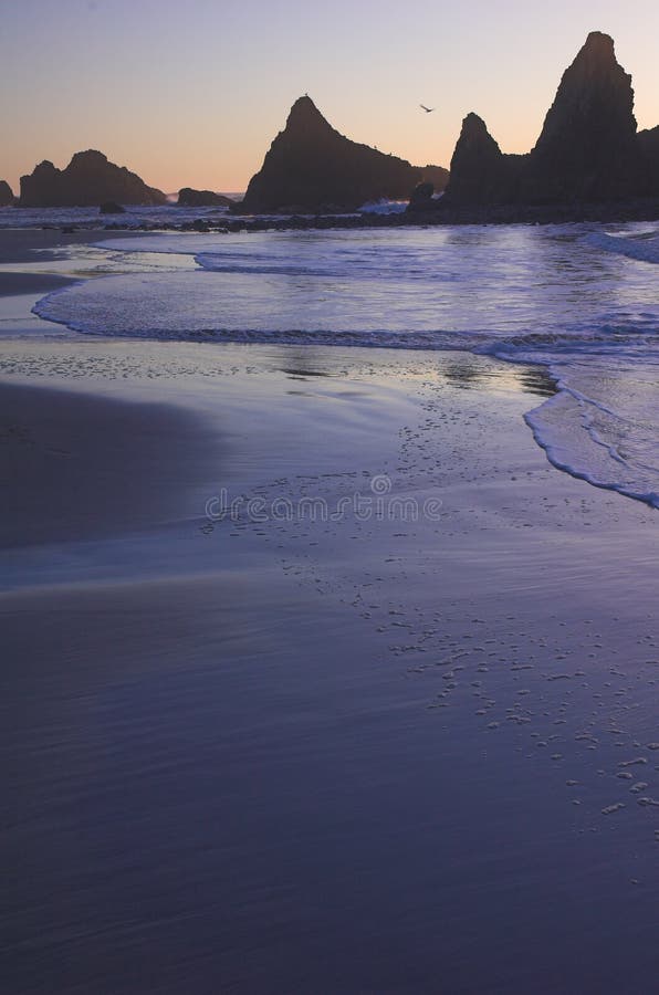 Beach Sunset royalty free stock photos Beach Sunset royalty free stock photos
