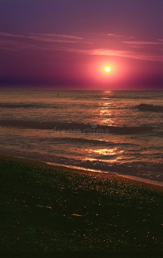 Beach Sunset on the Black Sea