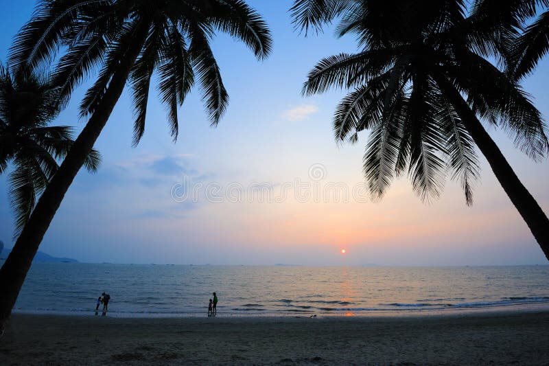 Beach at sunset with palm trees royalty free stock images