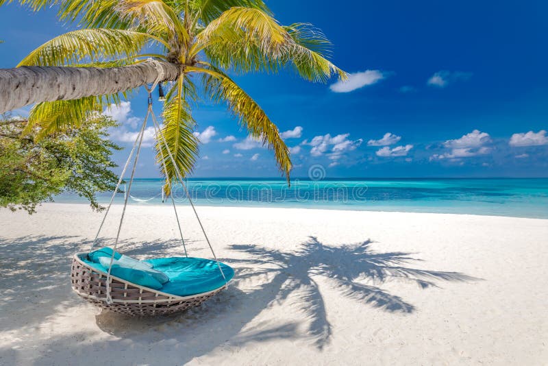 Beach Swing on Palm, Tranquil Romantic Nature Landscape. Freedom ...