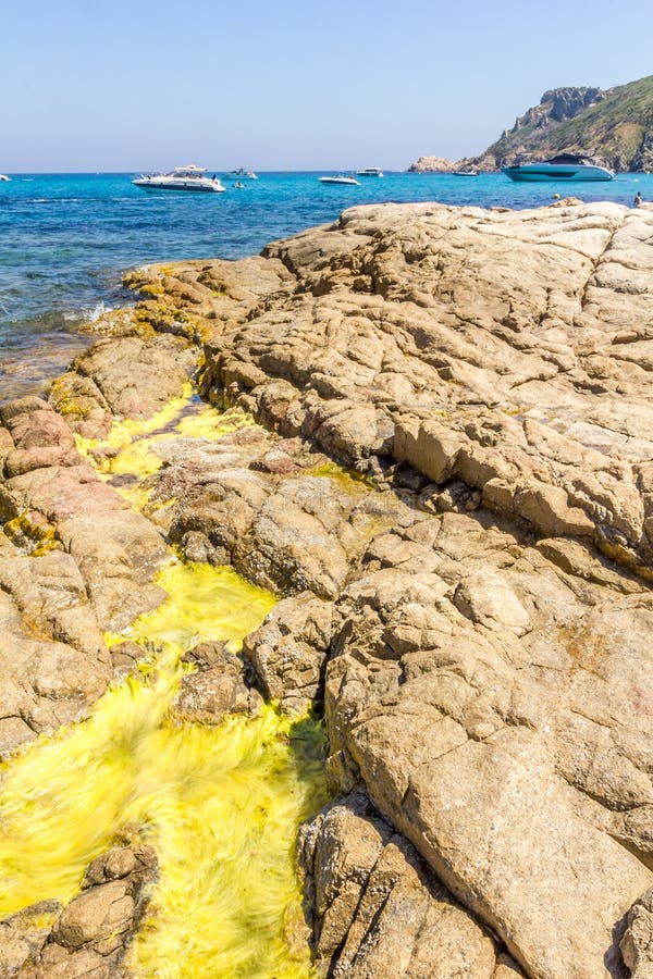 Beach in the Taillat Cape Near Saint-Tropez, France Stock Image - Image ...