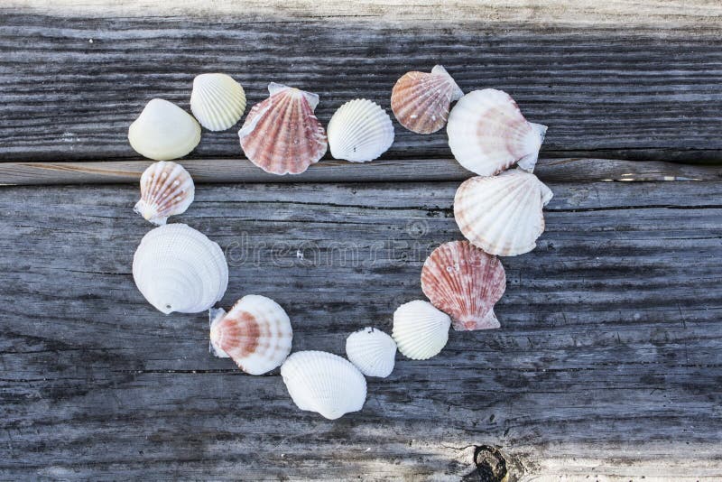 Aged Beach Wood Texture Macro Detail with Sand Stock Image Image of detail, background 15245169