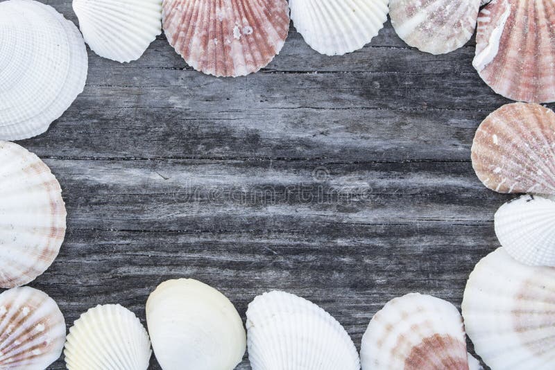 Aged Beach Wood Texture Macro Detail with Sand Stock Image Image of detail, background 15245169