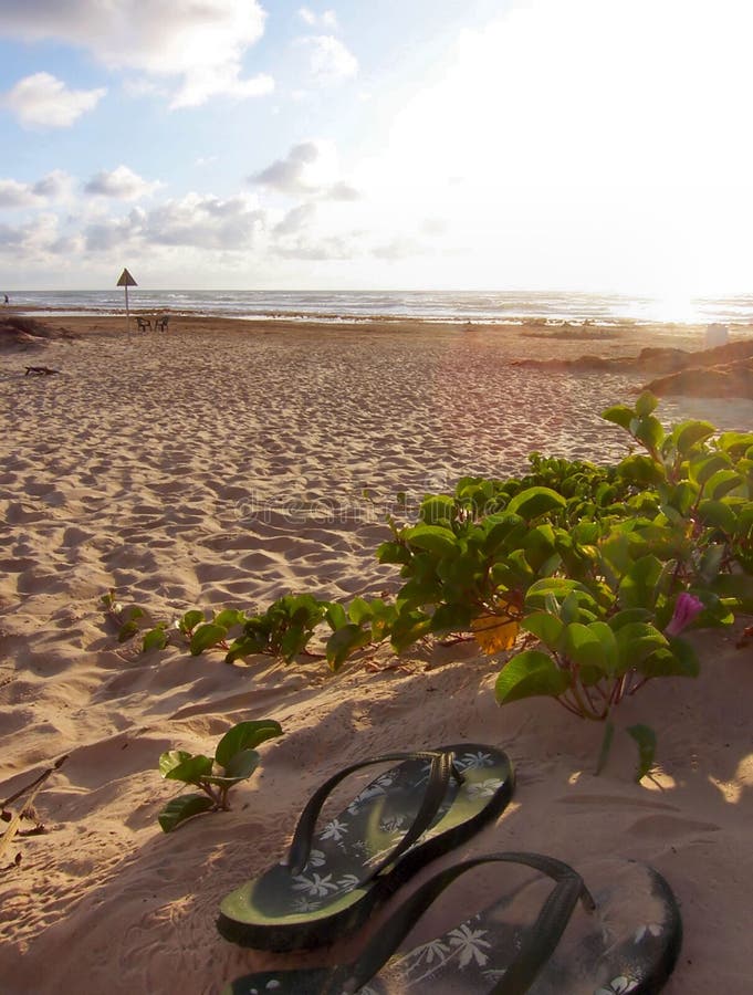 Beach with two shoes