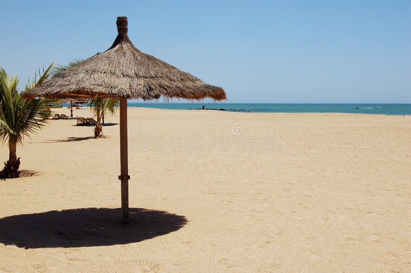 Beach Umbrella