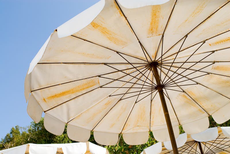 Beach umbrella