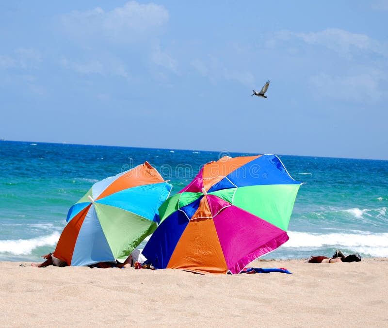 98,457 Umbrellas Stock Photos Free & RoyaltyFree Stock Photos from
