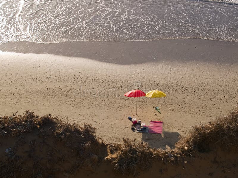 Beach umbrellas on a sunny day