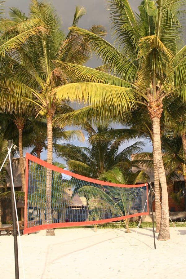 Volleyball Net, Volleyball on Beach and Palm Trees Stock Photo Image