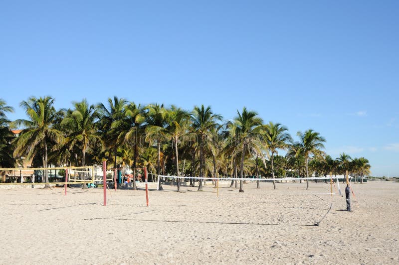 Beach Volleyball Courts in Miami Stock Image Image of trees, netball