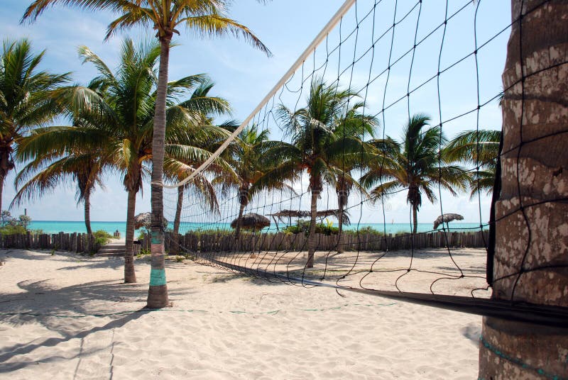 Beach volleyball net surrounded by coco palms