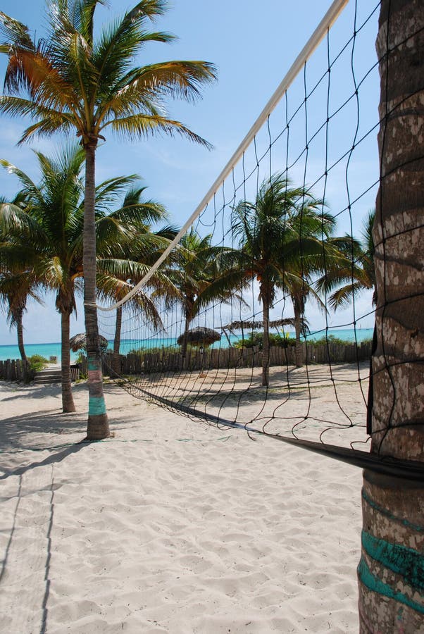 Beach volleyball net. Sand and palms.