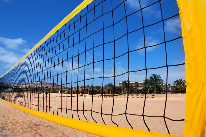 Beach volleyball net in front of a sky and palm trees. Beach volleyball net in front of a sky and palm trees