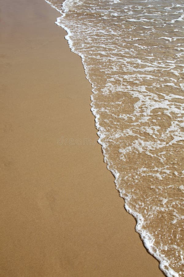 Beach Wave stock photos