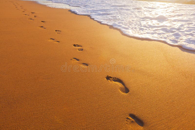 Beach, wave and footsteps at sunset time