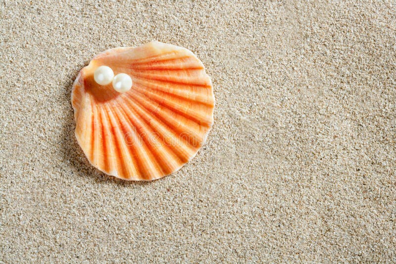 Beach white sand pearl shell macro