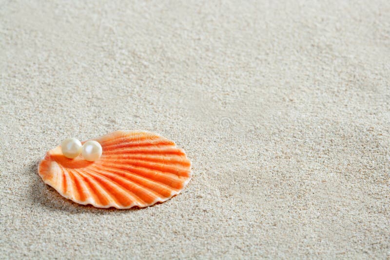 Beach white sand pearl shell macro