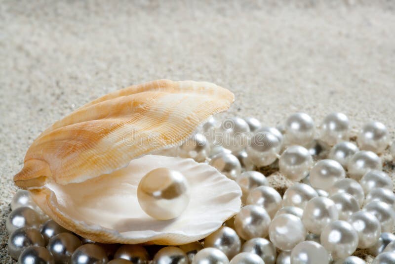 Beach white sand pearl shell macro