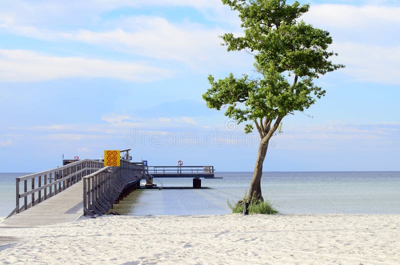 Beach of Öland