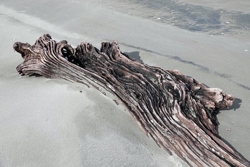 Beachcombers Wood at Ohope beach in Whakatane, New Zealand stock photos Beachcombers Wood at Ohope beach in Whakatane, New Zealand stock photos