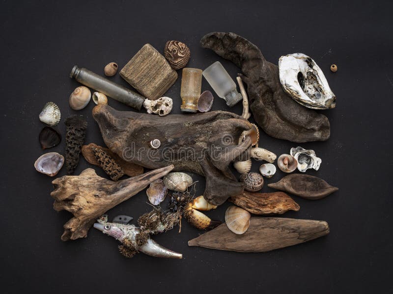 Beachcombing, нашло объекты включая старые сброшенные бутылки, удящ прикорм и красивые природные объекты стоковые изображения rf Beachcombing, нашло объекты включая старые сброшенные бутылки, удящ прикорм и красивые природные объекты стоковые изображения rf