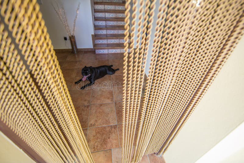 metal door fly curtain metal door fly curtain