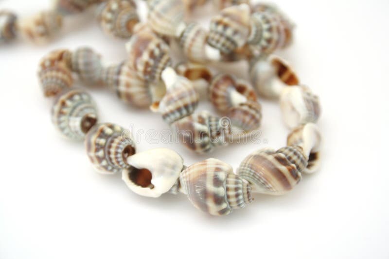 Beads shell