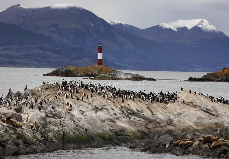 Beagle Channel - Tierra del Fuego