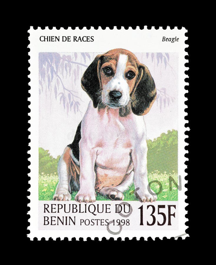 Beagle Metal Stamp