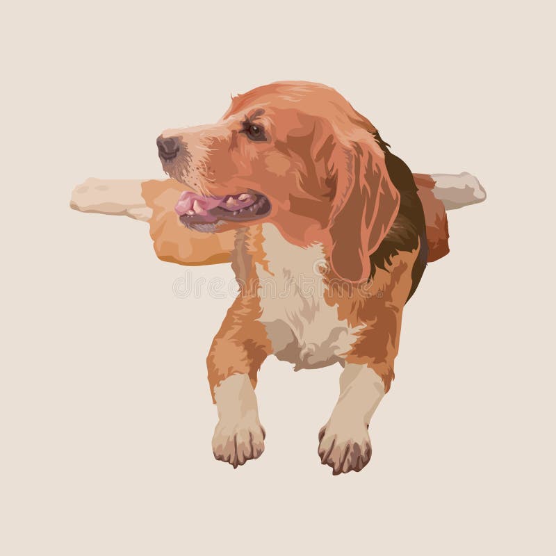 Beagle psi cyfrowy obraz, śliczny ilustracja wektor Beagle psi cyfrowy obraz, śliczny ilustracja wektor