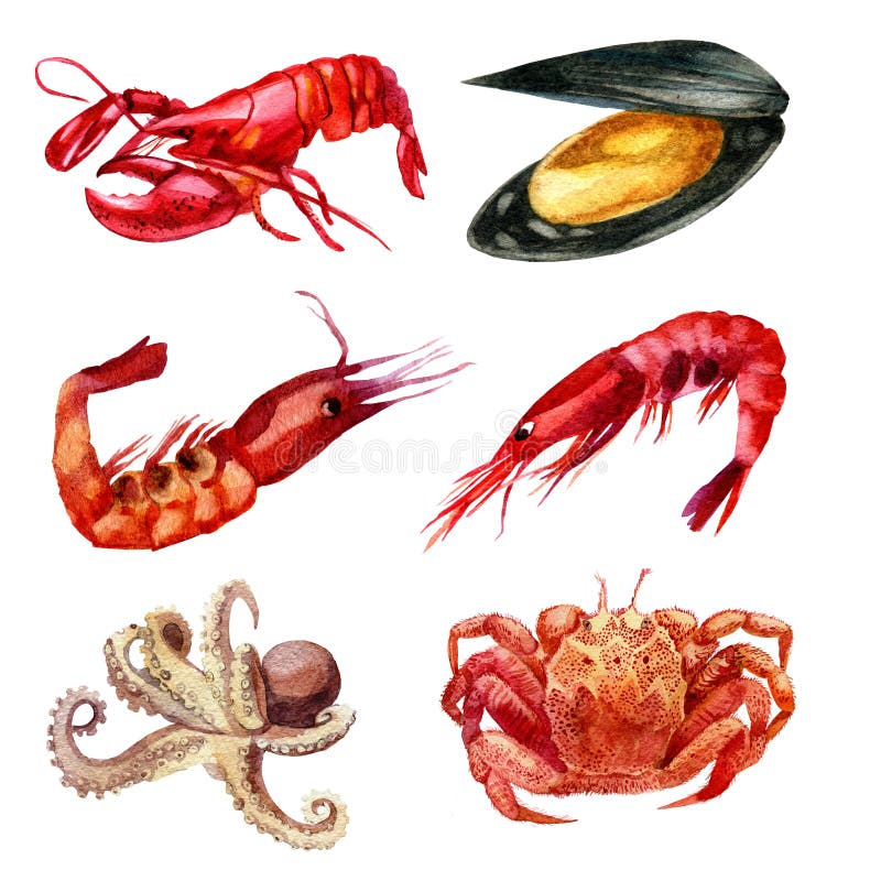 beak dekoracyjnego latającego ilustracyjnego wizerunek swój papierowa kawałka dymówki akwarela Set owoce morza Garnela, mussel, n ilustracji beak dekoracyjnego latającego ilustracyjnego wizerunek swój papierowa kawałka dymówki akwarela Set owoce morza Garnela, mussel, n ilustracji