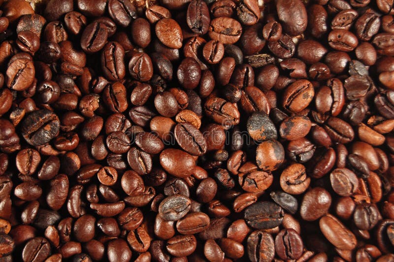 Close-up shot of coffee beans. Close-up shot of coffee beans