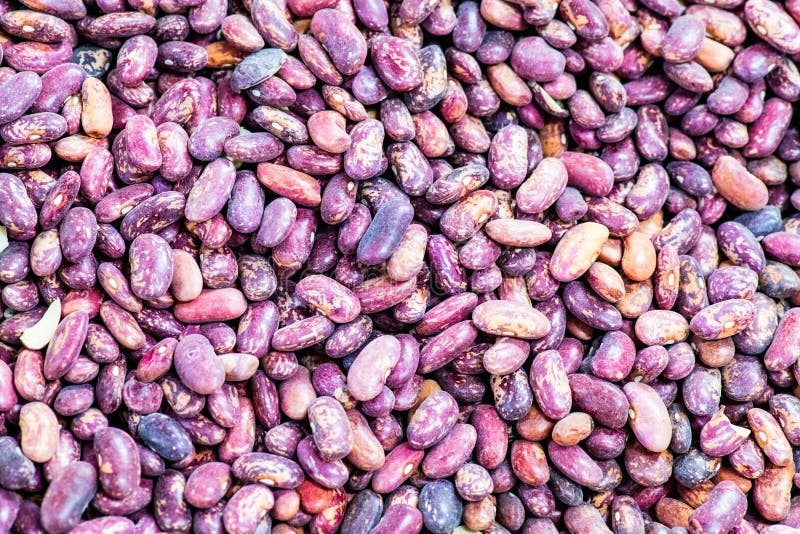 Bean beans are abundant. Vegetarian diet food stock photography Bean beans are abundant. Vegetarian diet food stock photography