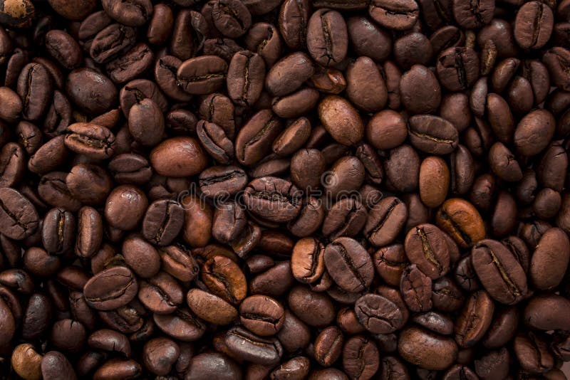 Bean brown kubek upiec white obrazy royalty free