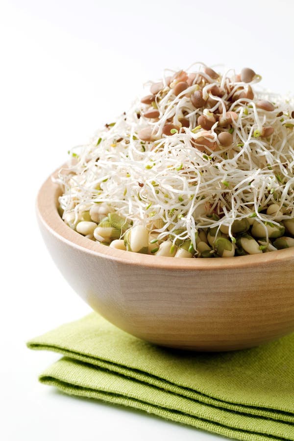 Bean and lentil sprouts