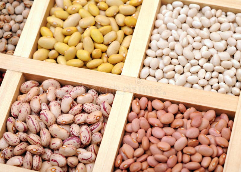 Bean and pea stock photo. Image of nutrient, grain, food 28687100