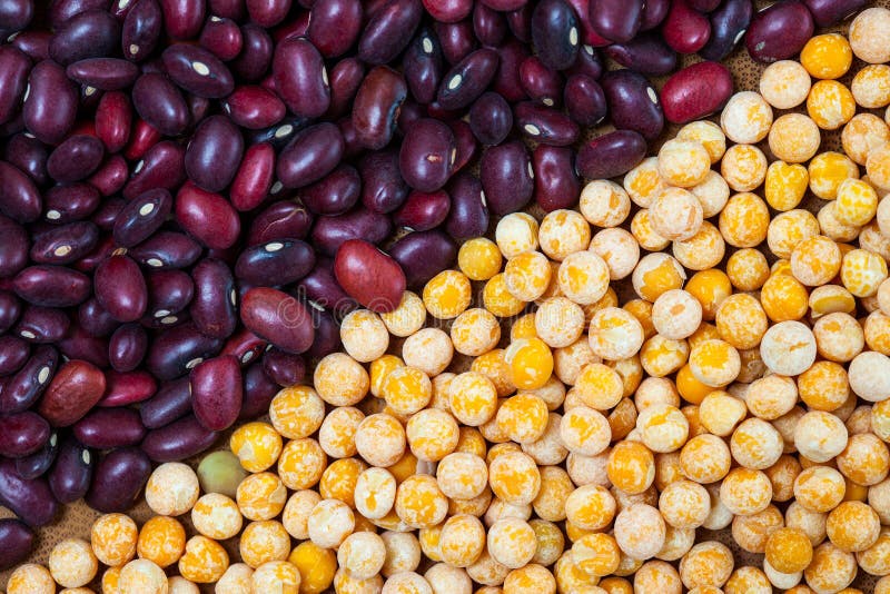 Bean and pea stock image. Image of eating, healthy, nutritious 95109611