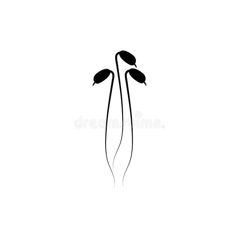 Bean sprout illustration free vector illustration