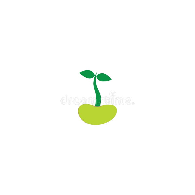 Bean sprout illustration free vector illustration