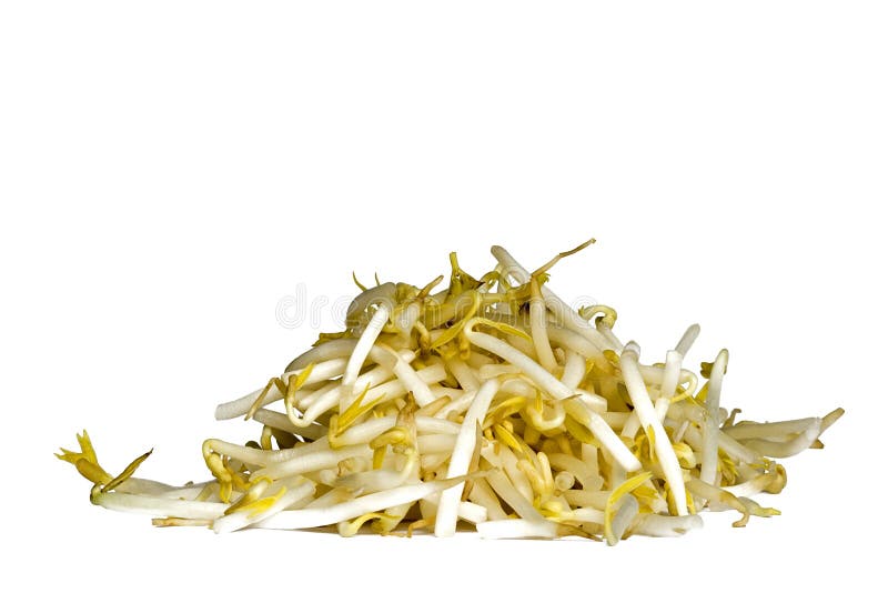 Bean sprouts stock photo. Image of soil, emerging, germinate 17836160