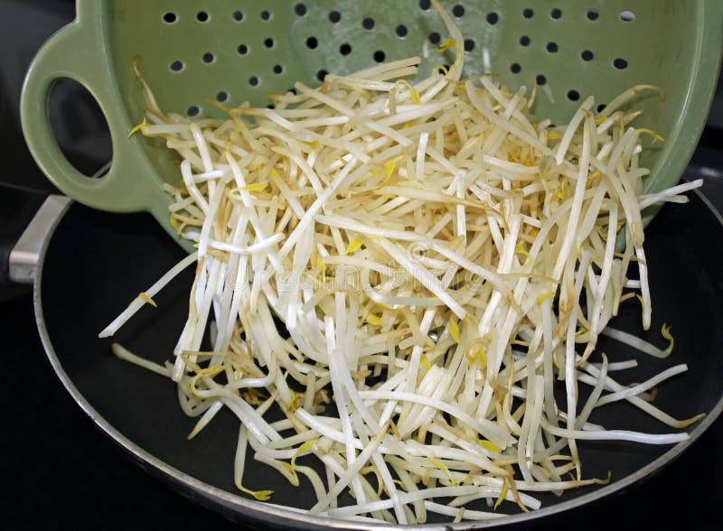 bean sprouts cooked bean sprouts cooked