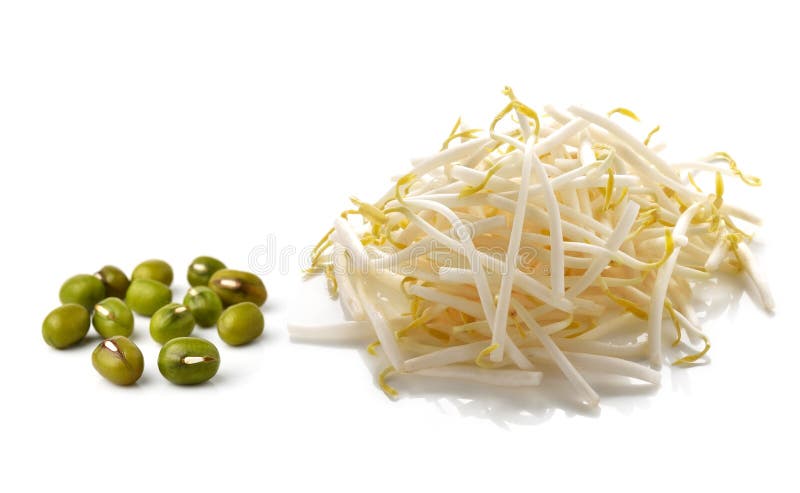 Bean Sprouts and mung beans stock images