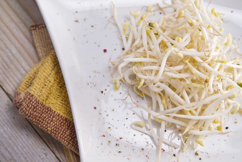 Bean Sprouts stock photo. Image of conceptual, life, glycine 32203064